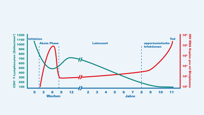 Seitengrafik-HIV Infektionsverlauf - Titelbild