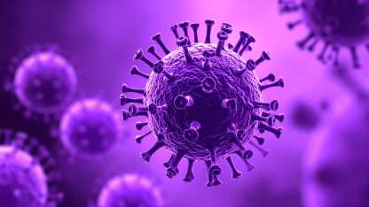 Seitengrafik-HPV - Titelbild