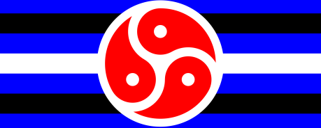 BDSM Flag - HP
