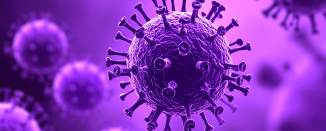 Seitengrafik-HPV - Titelbild