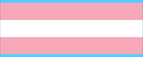 Transgender Flag